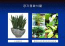 새집증후군 12페이지
