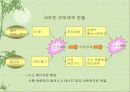 수소 혁명-제레미 리프킨 15페이지