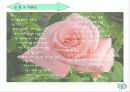 꽃의 시인 김춘수 시 세계 6페이지