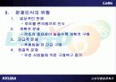 로또 마케팅사례분석과 소비자행동분석 6페이지