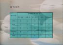 세스코 마케팅분석 (A+레포트) 15페이지