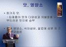 윌 마케팅분석과 소비자행동분석 (A+레포트) 19페이지