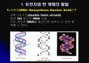 인간복제(Human cloning) 3페이지