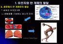 인간복제(Human cloning) 4페이지
