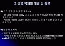 인간복제(Human cloning) 6페이지