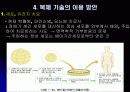 인간복제(Human cloning) 10페이지