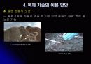 인간복제(Human cloning) 12페이지