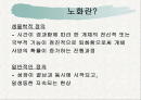 노화이론 2페이지