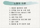 노화이론 21페이지