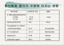 노화이론 26페이지