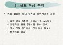 노화이론 28페이지
