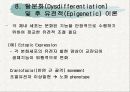 노화이론 32페이지