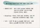 노화이론 35페이지