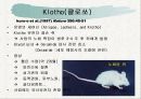 노화이론 42페이지
