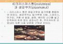 동북유럽의 요리 32페이지