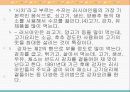 동북유럽의 요리 43페이지