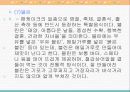 동북유럽의 요리 52페이지