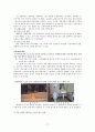 장애 아동 교육의 대안 - 통합교육 18페이지