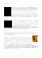 떡에 대해서 30페이지