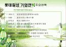 롯데칠성의 유통경영사례 분석(A+자료) 4페이지