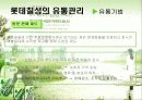 롯데칠성의 유통경영사례 분석(A+자료) 15페이지