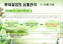 롯데칠성의 유통경영사례 분석(A+자료) 16페이지