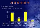 (홈쇼핑 분석) 홈쇼핑의 마케팅 전략과 사업 전략 및 기업 경영 분석 (고급 프레젠테이션 자료) 13페이지