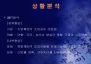 (홈쇼핑 분석) 홈쇼핑의 마케팅 전략과 사업 전략 및 기업 경영 분석 (고급 프레젠테이션 자료) 24페이지
