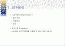 [IT 렌털산업의 분석] 정보 렌턴 산업 비즈메카의 STP, SWOT, 4P, 나아갈 방향 제언 6페이지