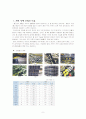 Microstructural Analysis (미시구조 분석) 3페이지