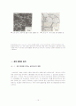 Microstructural Analysis (미시구조 분석) 16페이지
