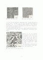 Microstructural Analysis (미시구조 분석) 18페이지