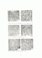 Microstructural Analysis (미시구조 분석) 21페이지