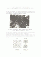 Microstructural Analysis (미시구조 분석) 28페이지