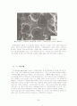Microstructural Analysis (미시구조 분석) 31페이지