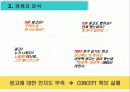 [광고기획서]TGI 마케팅광고기획서 9페이지
