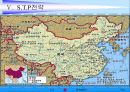 [마케팅 전략 분석] LG 휘센의 국제마케팅 전략 12페이지
