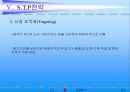 [마케팅 전략 분석] LG 휘센의 국제마케팅 전략 13페이지