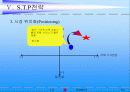 [마케팅 전략 분석] LG 휘센의 국제마케팅 전략 14페이지