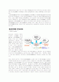 고강도 콘크리트의 실용화에 관한 연구 2페이지