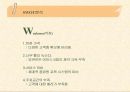 레드망고 기업분석과 마케팅분석(A+레포트) 9페이지