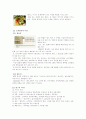 외식업체 분석 - VIPS에 대하여 3페이지