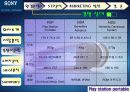 PSP 마케팅분석(소비자설문조사포함) 8페이지