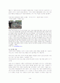 [광고와 소비자] 사회적 증거의 법칙에 대한 분석과 광고 및 마케팅 사례 3페이지