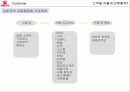 우유시장 축소에대한 서울우유의 대응(A+레포트) 13페이지