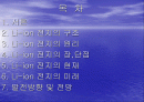 리튬이론(Li-ion)전지 2페이지