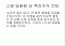 연축전지에 대하여 12페이지