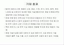 용융탄산염 연료전지(Molt Carbonate Fuel Cell ; MCFC) 5페이지
