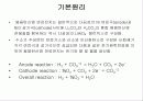 용융탄산염 연료전지(Molt Carbonate Fuel Cell ; MCFC) 7페이지
