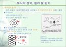 오스테나이트 스테인레스 강 입계부식 4페이지